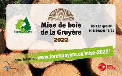 Mise de bois de la Gruyère 2022